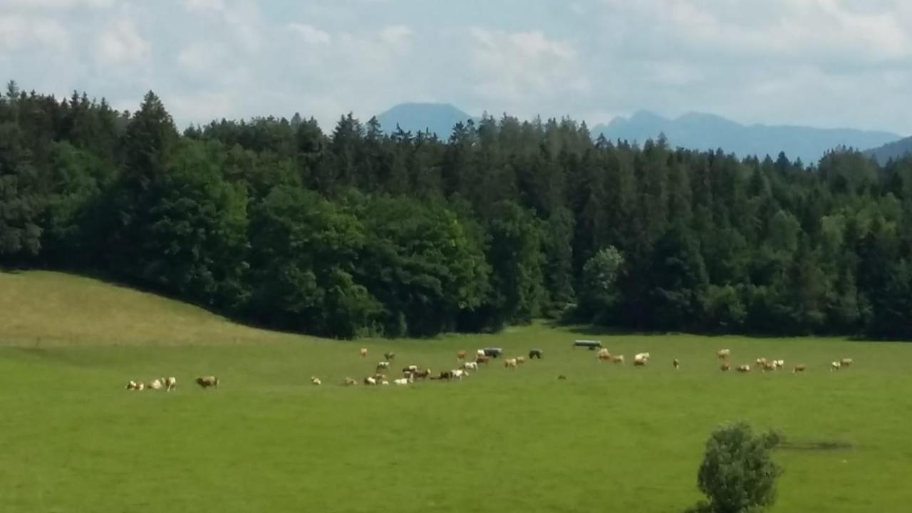 Sachsenkam Biohof Babel 아파트 외부 사진